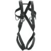 Petzl 8003 Full Body Adult Harness