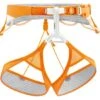 Petzl Sitta Harness